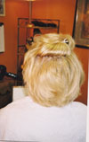 Partial on client; viewing fused area